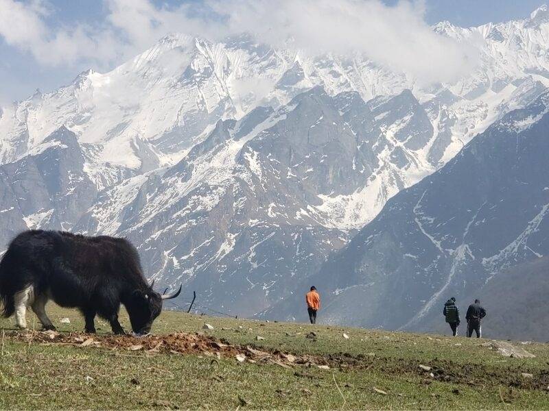 Langtang Valley Trek