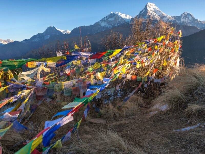 Poon Hill Trek