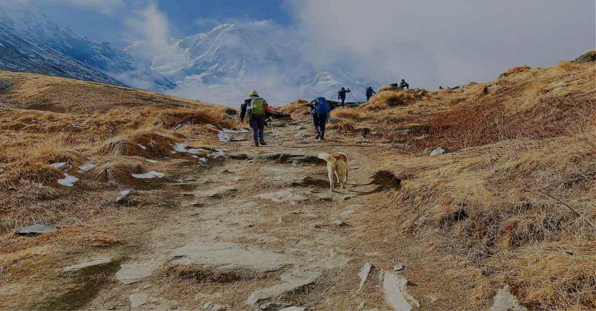 Top 10 Must-Visit Trekking Destinations in Nepal for Adventure Enthusiasts