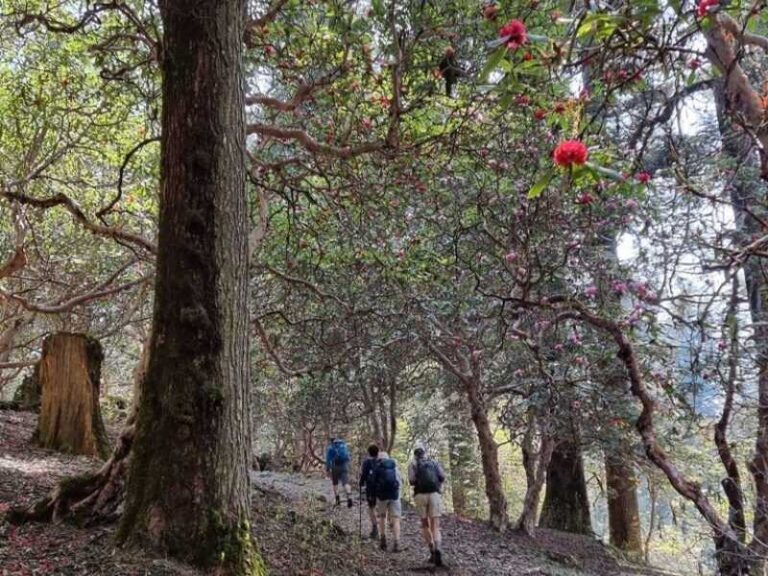 Gosaikunda Trek