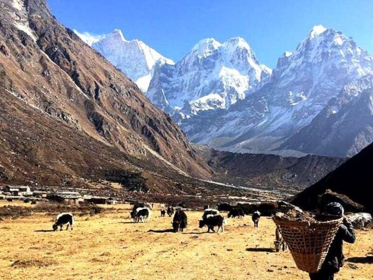 Kanchenjunga Trek