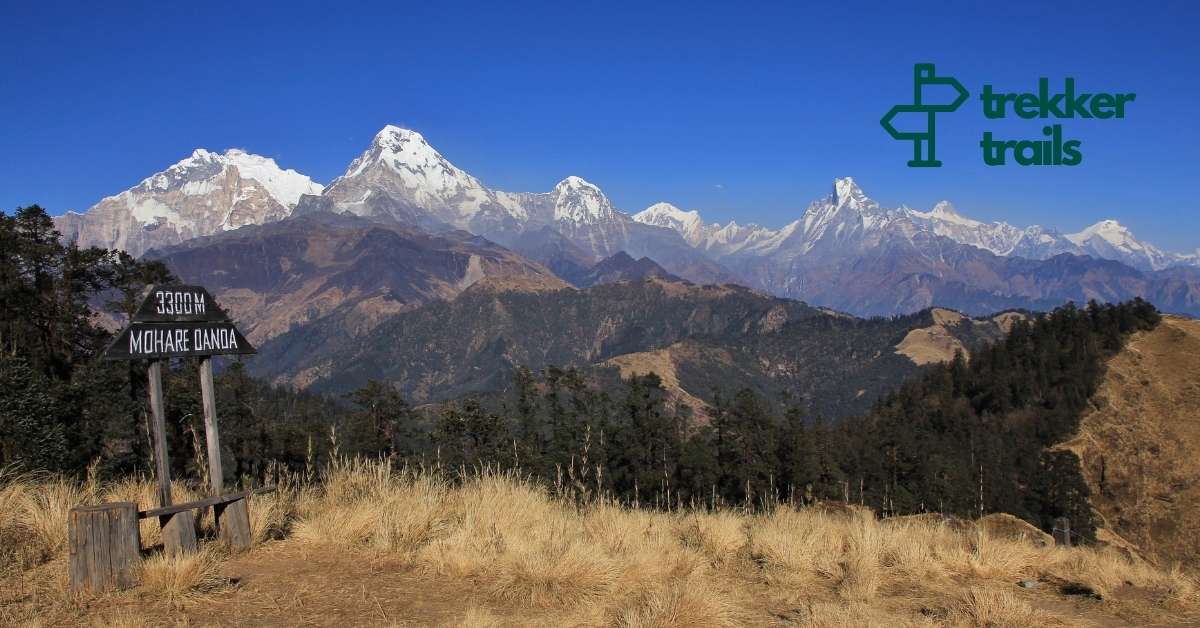 Mohare Danda Trek